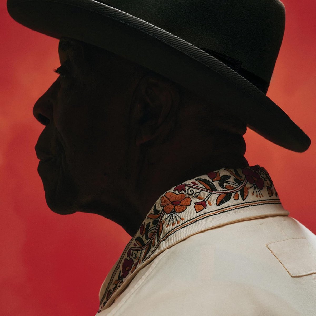 Muziekalbum Blues - Luisterervaring - Ontspanning - Hoogwaardige audio - Standaard formaat