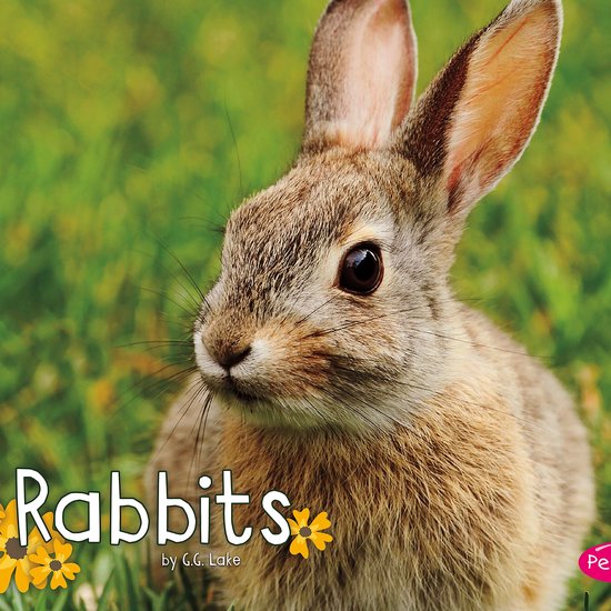 Rabbits - cover