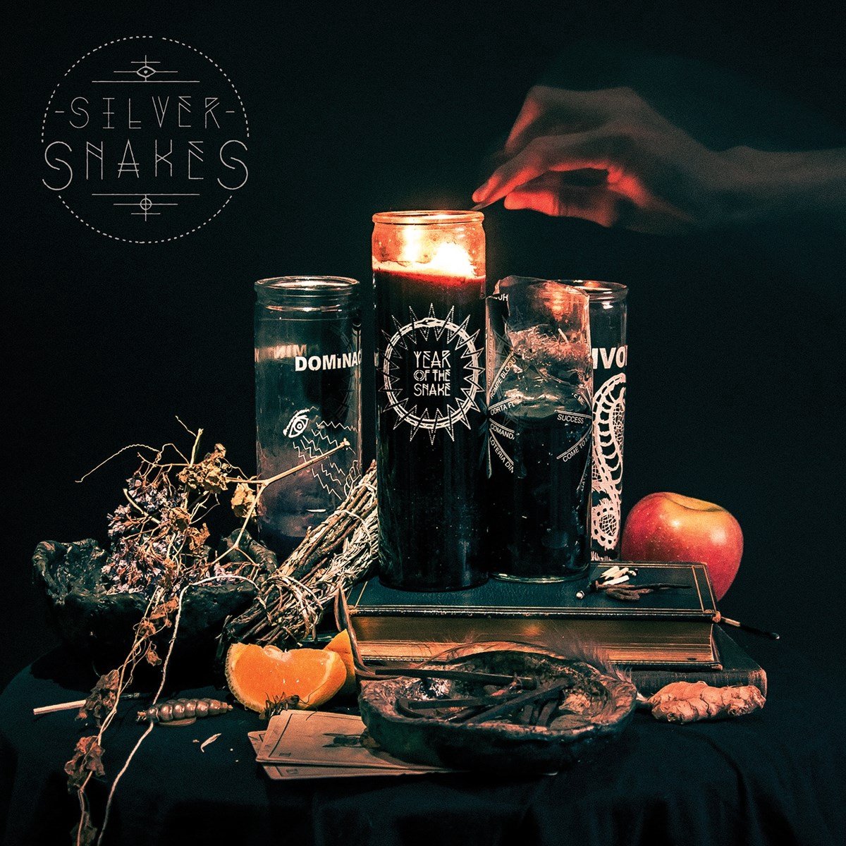 Silver Snakes - Year Of The Snake (LP) (Limited Edition)
