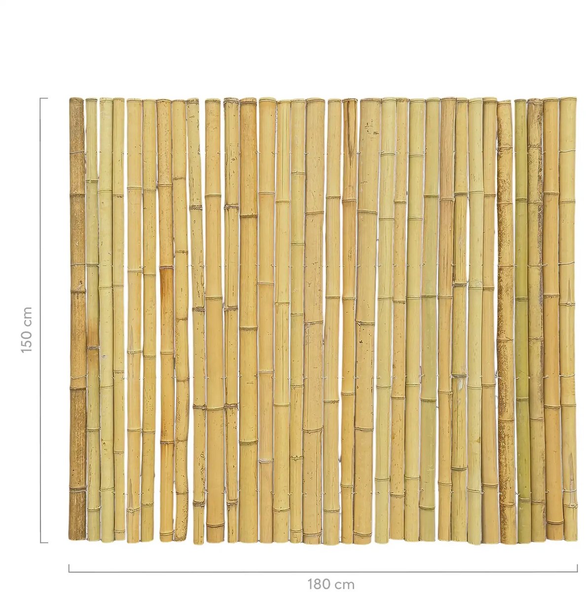 Masters of Bamboo® Bamboemat Halfrond - 180 x 150 cm - Naturel - Bamboe schutting op rol - Bamboe mat
