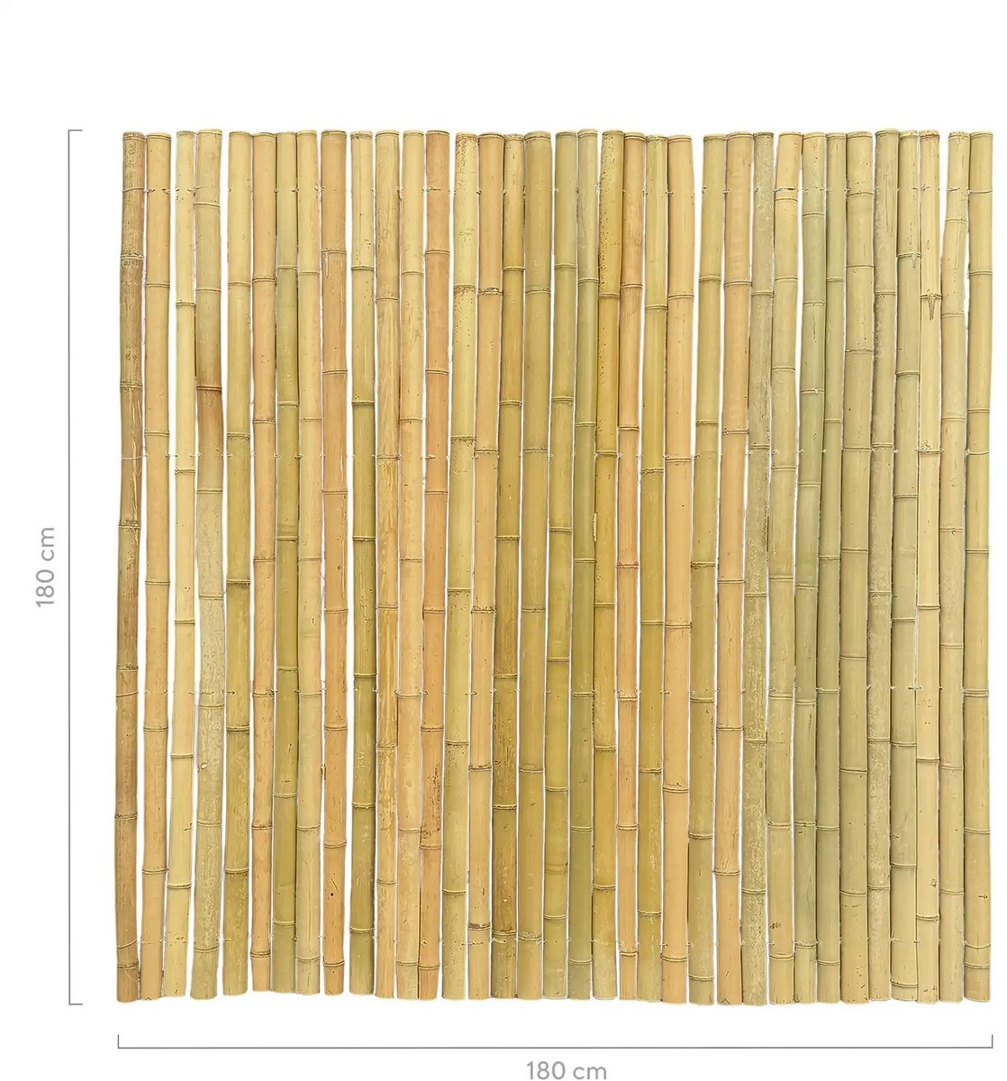 Masters of Bamboo® Bamboemat Halfrond - 180 x 180 cm - Naturel - Bamboe schutting op rol - Bamboe mat