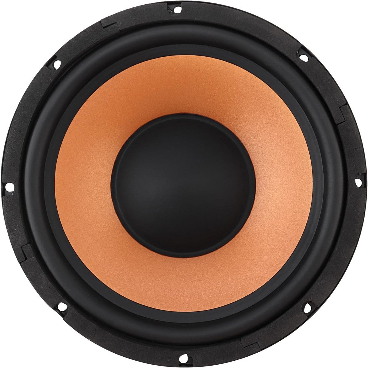 10 Inch Bass Woofer Luidspreker voor Auto Audio en Thuisbioscoop