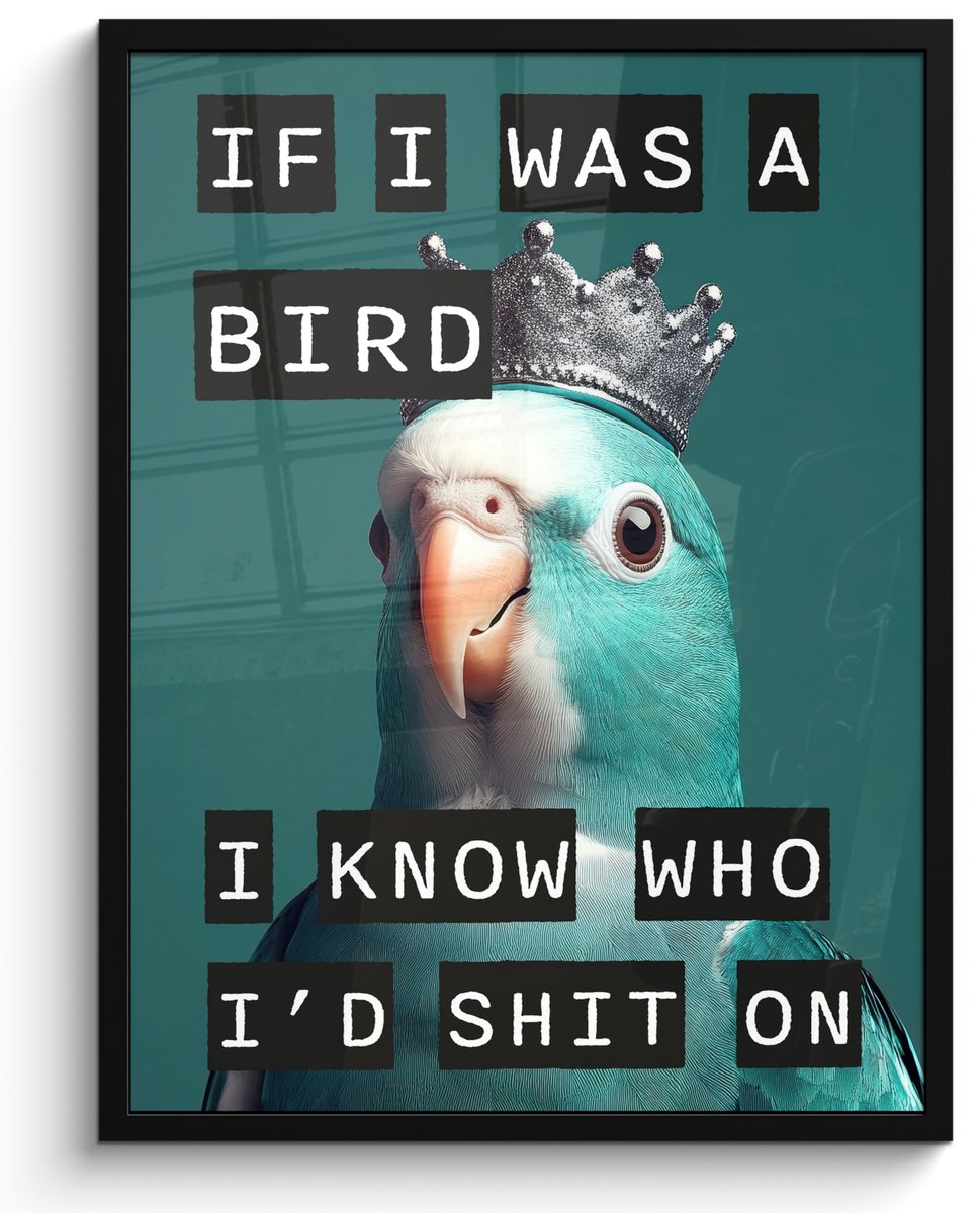 FrameYourWall Poster in lijst - Fotolijst 50x70 cm - Posters - Parkiet - Turquoise - Quotes - Decoratie - Posterlijst zwart - Decoratie - Wanddecoratie woonkamer - Muurdecoratie slaapkamer Tekst - Parkiet