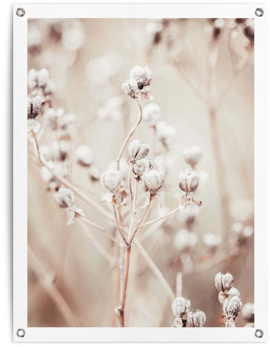 Tuinposter Gedroogde tak - 80 x 60 - Canvas - REINDERS