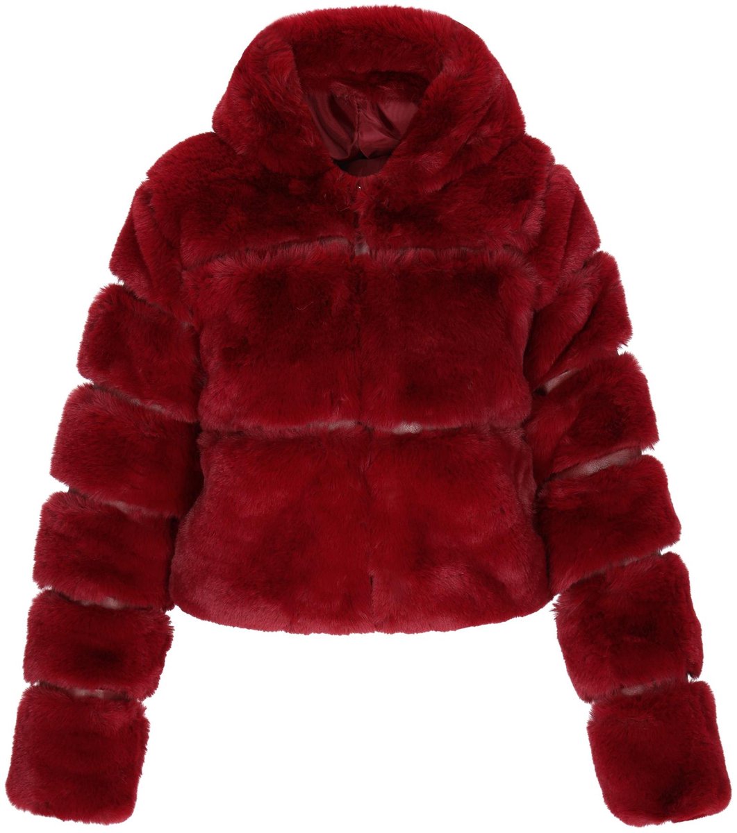 taddy jacket