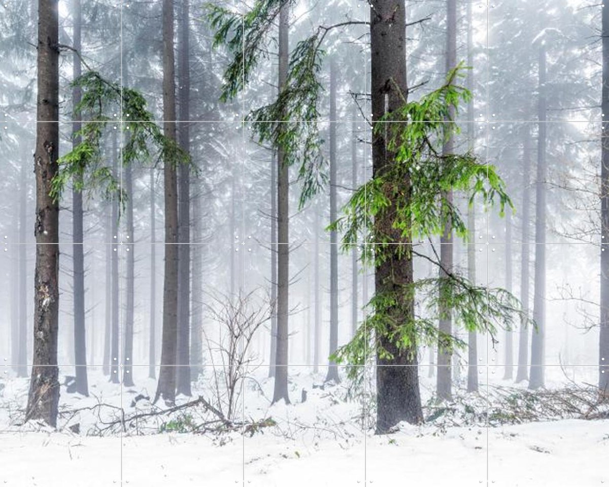 IXXI Panoramic Snow Forest, Jan Becke - 100 x 80 cm - Gratis ophangtool - Grote wanddecoratie en posters - Fotografie, Landschappen