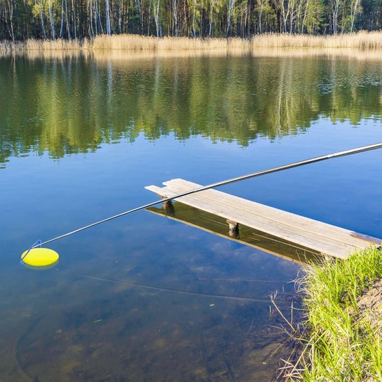 Verstelbare Disc Golf Retriever Stok met Haken voor Verloren Schijven van Merkloos	 — afbeelding 3