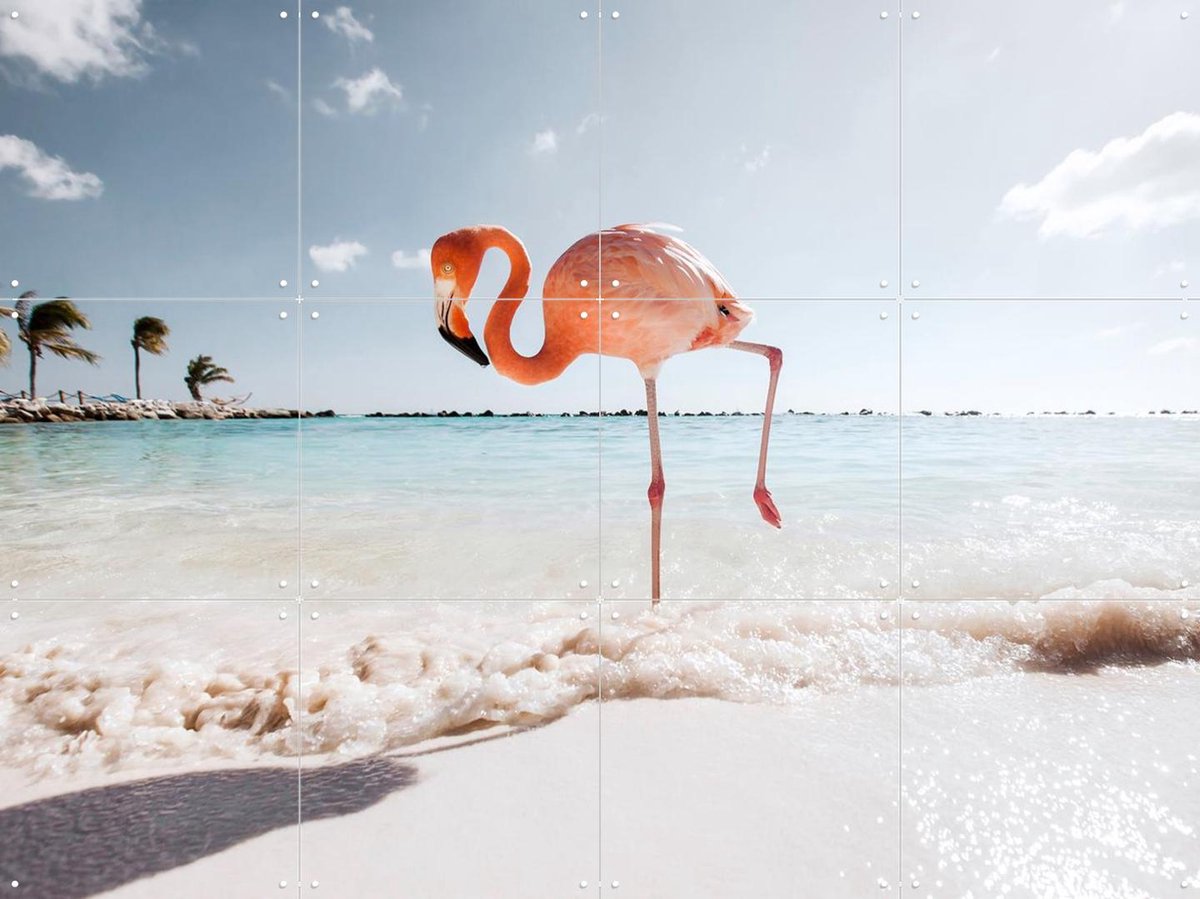IXXI Flamingo - Strike a Pose, Claire Droppert - 80 x 60 cm - Gratis ophangtool - Grote wanddecoratie en posters - Naturalisme, Fotografie, Speels