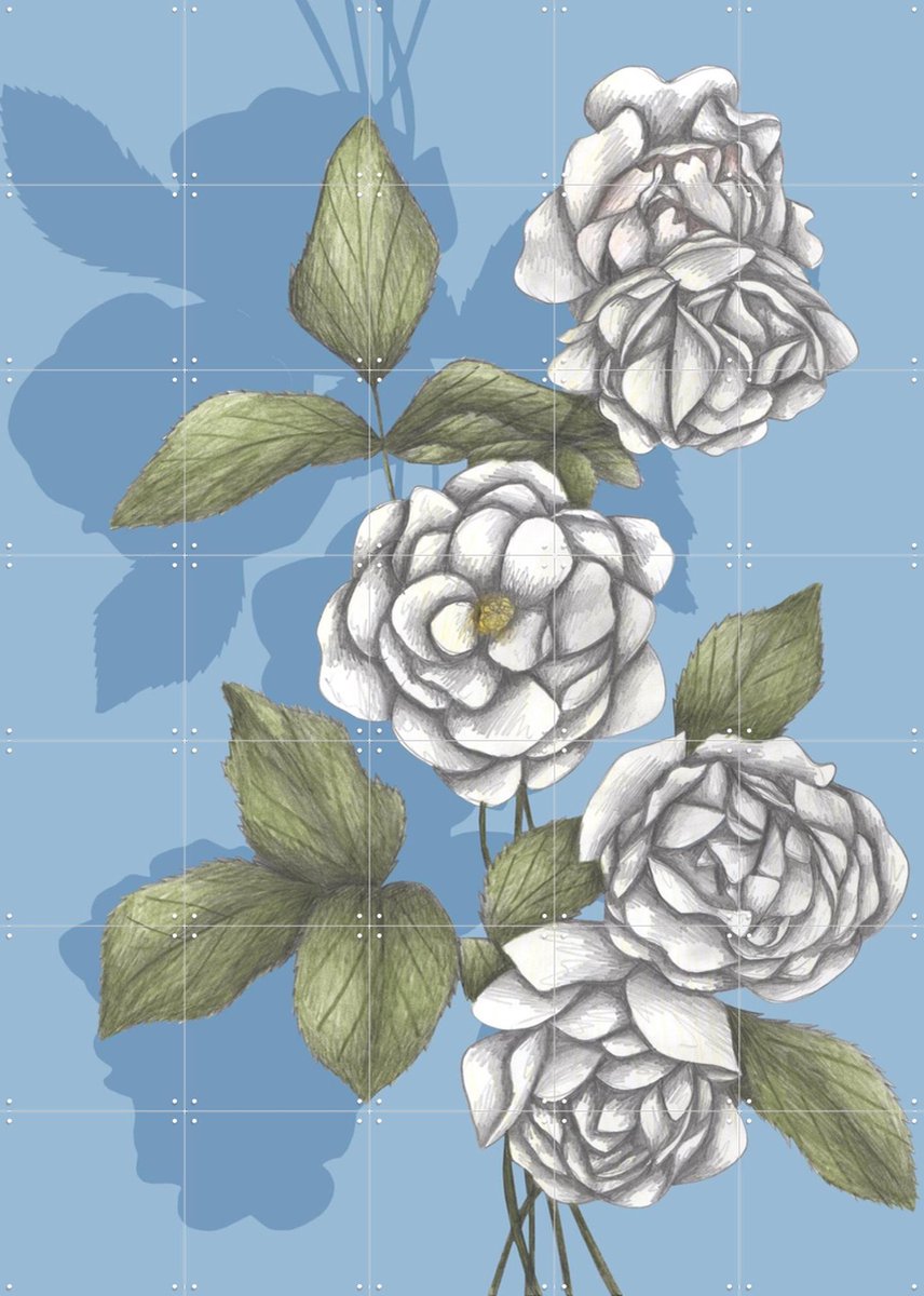 IXXI White Roses, Cecilia Battaini - 100 x 140 cm - Gratis ophangtool - Grote wanddecoratie en posters - Tekeningen, Naturalisme, Illustraties