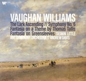 Vaughan Williams: The Lark Ascending//Symphony No. 6 (LP)