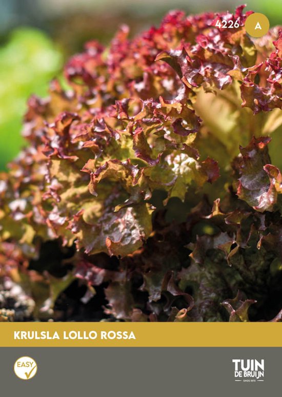 Tuin de Bruijn® zaden – Sla Lollo Rossa
