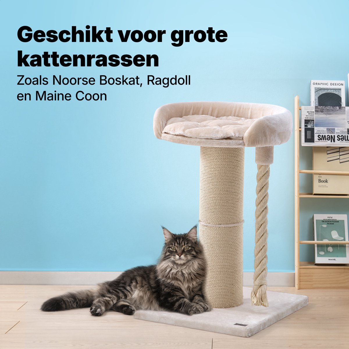 Jake Jake and Jacky Krabpaal - afbeelding 4