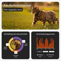 Bruine kat met GPS tracker halsband in het gras. Activiteitstracker met dagelijks doel. Verdeling van de activiteit (matig, intensief, laag). Activiteitsrapporten.