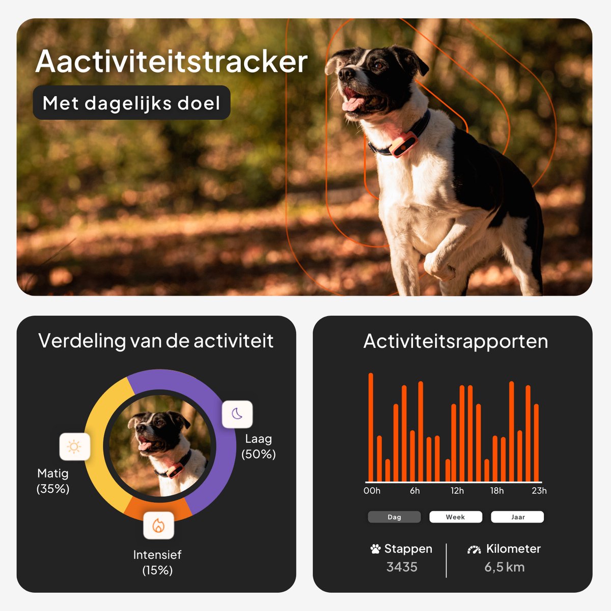 Weenect Dog XS White edition – NIEUWE GPS voor honden | Mini realtime GPS-tracker | Waterdicht | De kleinste op de markt | Werkt met abonnement | Levenslange garantie thumbnail 6