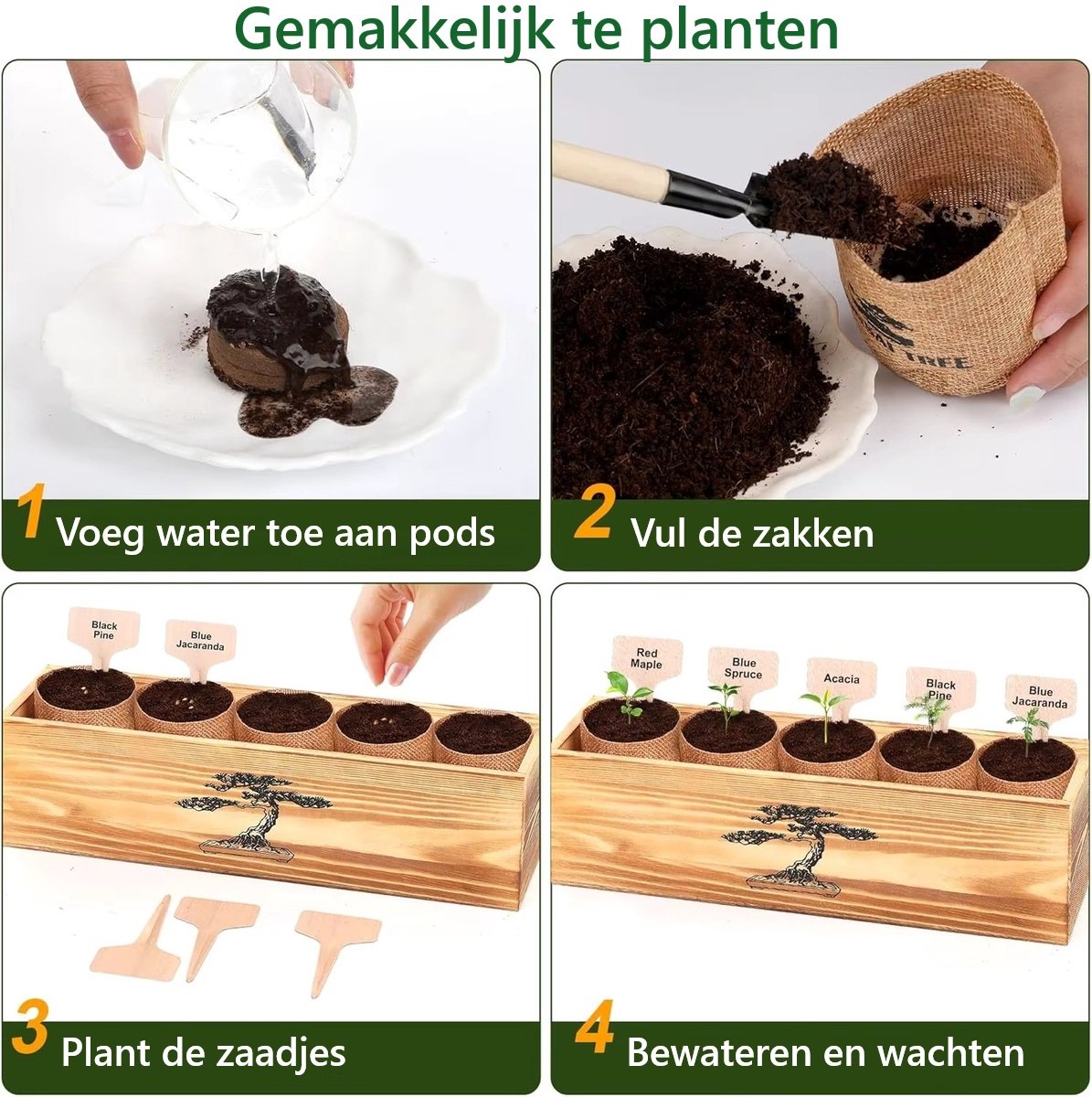 Luxe Bonsai Starters Kit – 5 Soorten Bonsai Zaden – 25-delige Kweekset met Tuinset – Inclusief Nederlandse Instructies – Bonsai Binnen Kweken – Perfect Cadeau — cadeau in Hobby - foto 3