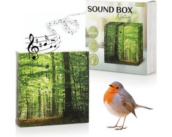 Nordstern Sound Box - Natuurlijke Geluiden en Vogelgezang voor Ontspanning - Muziekdoos met Bewegingssensor en Volumecontrole - 12 x 12 cm