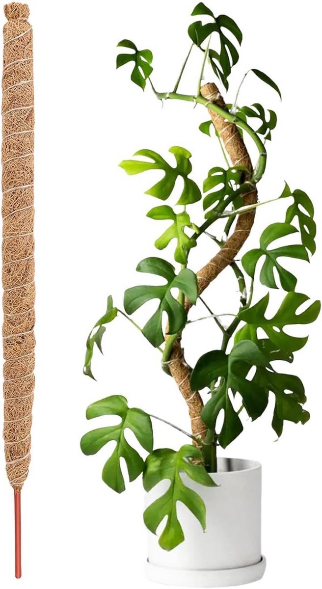 Flexibele Kokosnoot Klimpaal 120 cm voor Monstera en Klimplanten