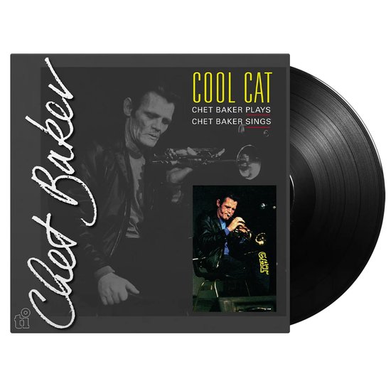 Cool Cat