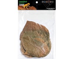 HabiStat Bladeren Dadap 10 Stuks | natuurlijk bladstrooisel voor bioactief terrarium