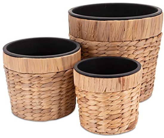 6 x plantenmanden voor bloemenuien, kweek-plantenschaal voor het planten en bewaren