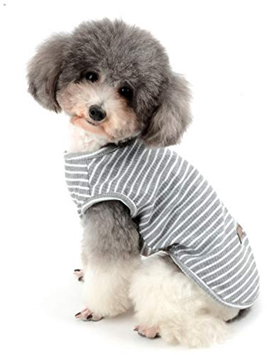 Gestreept Hondenshirt voor Kleine Honden en Katten - Zomer T-shirt voor Huisdieren - Ademend en Comfortabel