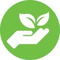 Groen icoon van een hand die een plant met bladeren ondersteunt.