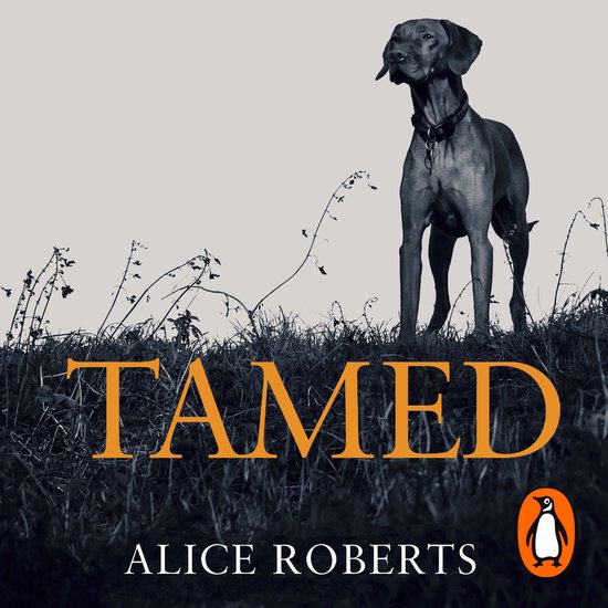 Tamed - cover