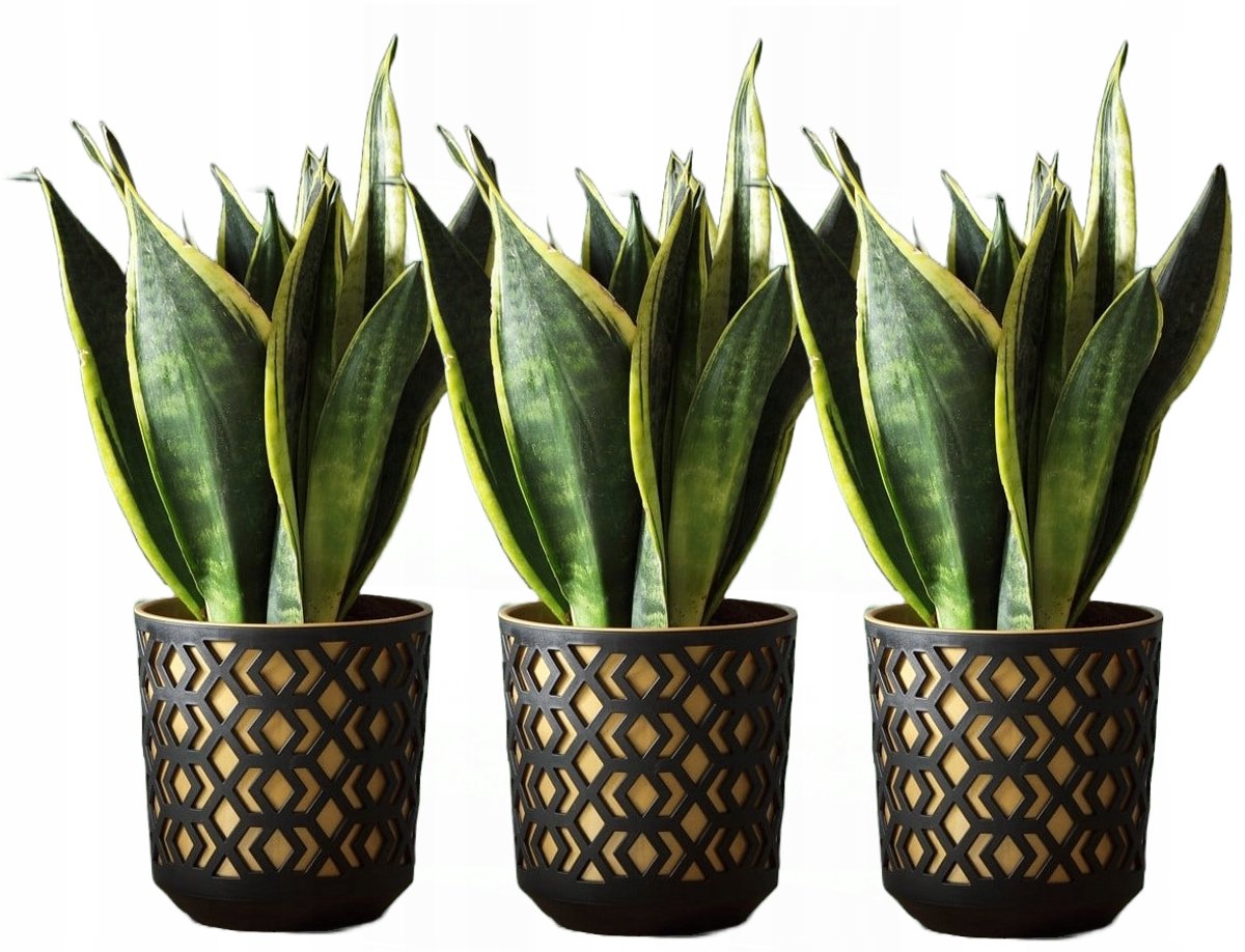 Set bestaat uit 3 Aztek Potten 19,5cm Zwart/Goud Lamela