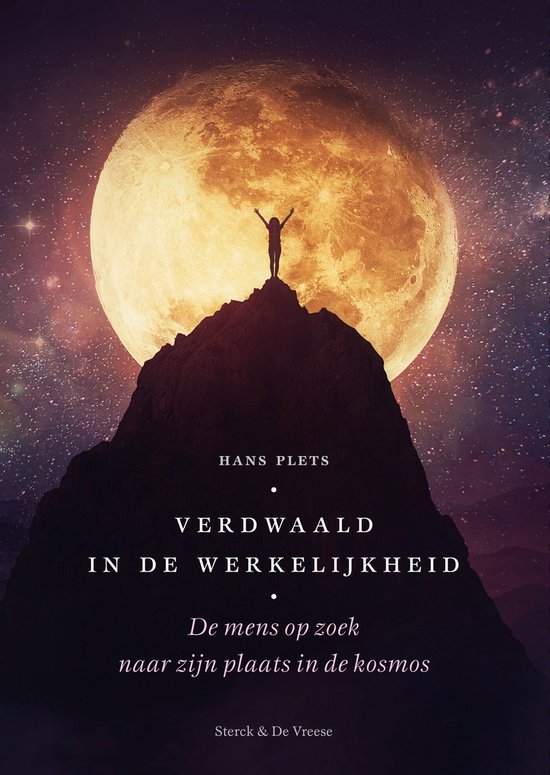 Verdwaald in de werkelijkheid - cover