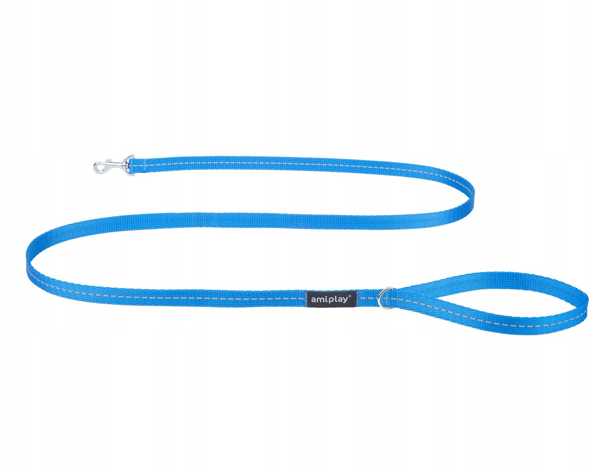 Amiplay Reflective Hondenlijn Blauw, Maat S, 150 cm
