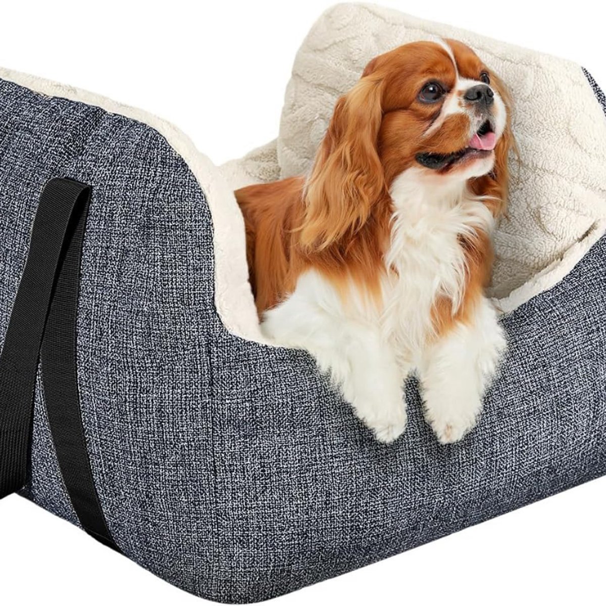 Autostoel Voor Kleine Honden – Verhoogd Hondenstoeltje Met Veiligheidsgordel En Gesp – Verdikt Hondenbed Voor In De Auto – Reismand Voor Puppy En Kat