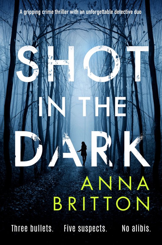 Detectives Martin & Stern 1 - Shot in the Dark - cover