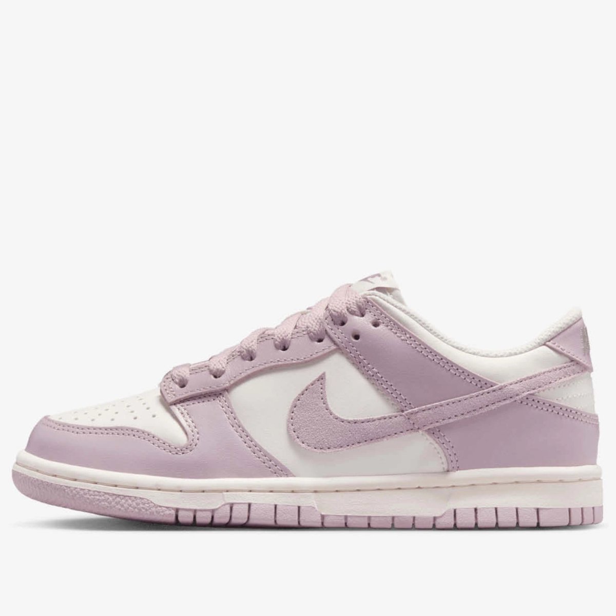 Nike Dunk Laag BG Unisex Sneakers FB9109-122 Veelkleurig