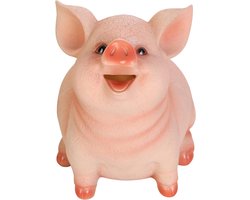 Dailygoods- Spaarvarken Schattig Ontwerp - Spaarpot Kind - Hars Geldvarken - Decoratie - Cadeau voor Kinderen - Grote Binnenruimte