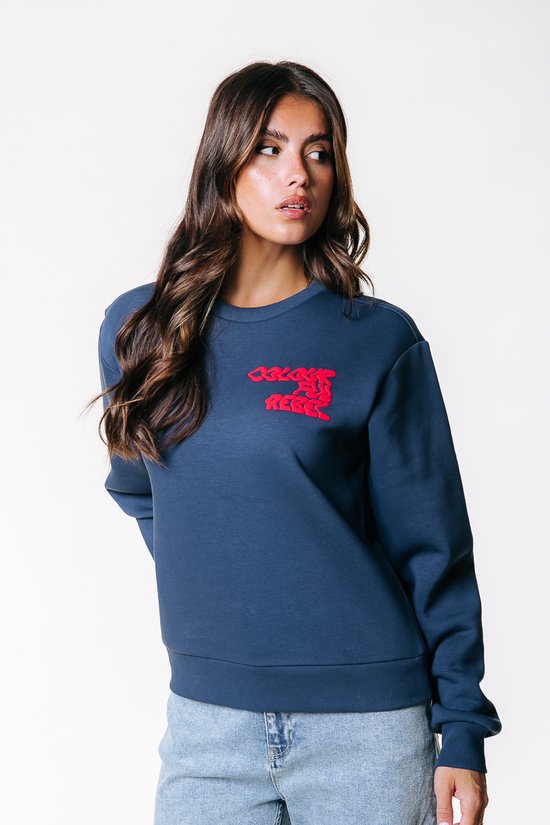 Colourful Rebel Logo Wave Relaxed Sweat - S