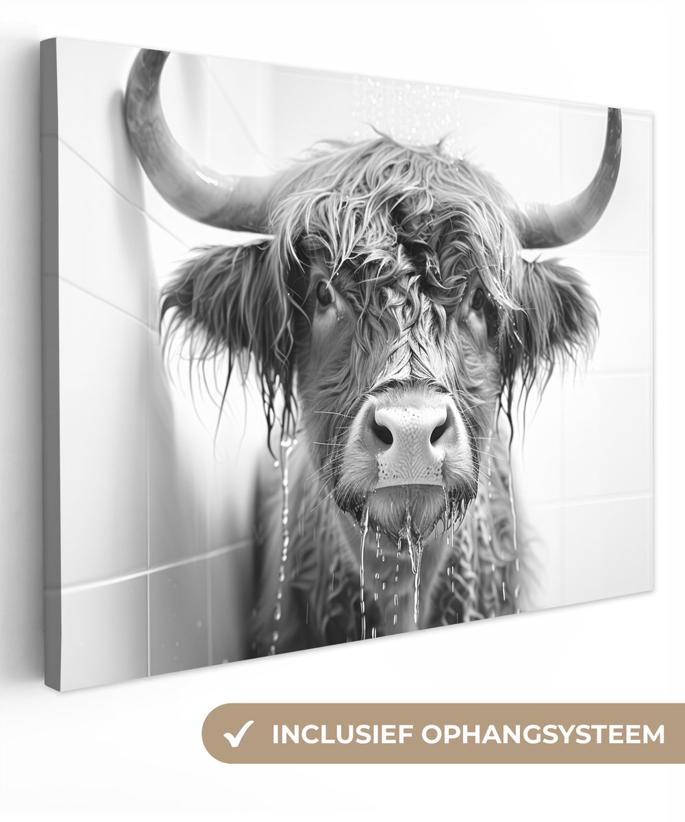Canvas schilderij 40x30 cm - Wanddecoratie badkamer Schotse Hooglander - Dier - Douche - H