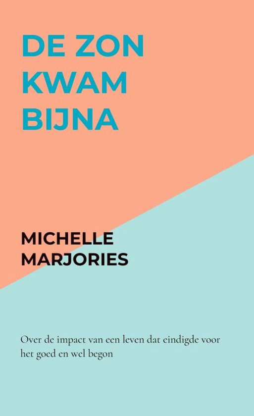 De zon kwam bijna - cover