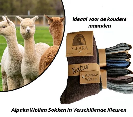 Lot de 6 paires de Chaussettes en laine d'alpaga, coloris Zwart, Grijs et anthracite (39-43)