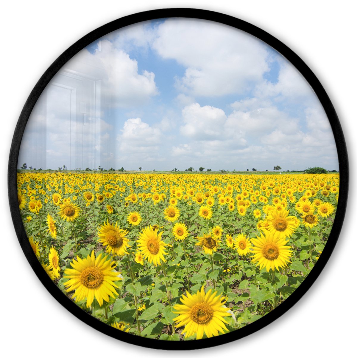 FrameYourWall Poster in lijst Rond - Fotolijst 40x40 cm - Posters - Zonnebloemen - Bloemen - Wolken - Natuur - Geel - Landschap - Ronde posterlijst zwart - Decoratie - Wanddecoratie woonkamer - Muurdecoratie slaapkamer