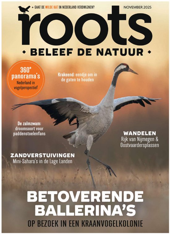 Roots editie 11 - 2025
