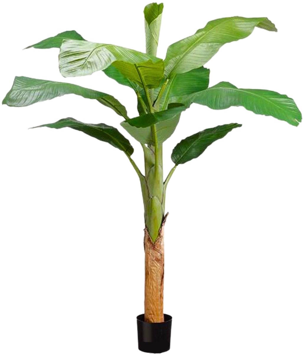 Kunst Bananenplant 180cm | Bananen Kunstplant | Neppe Bananenplant | Valse Bananenplant 180cm | Kunstplanten voor Binnen | Grote Kunstplant