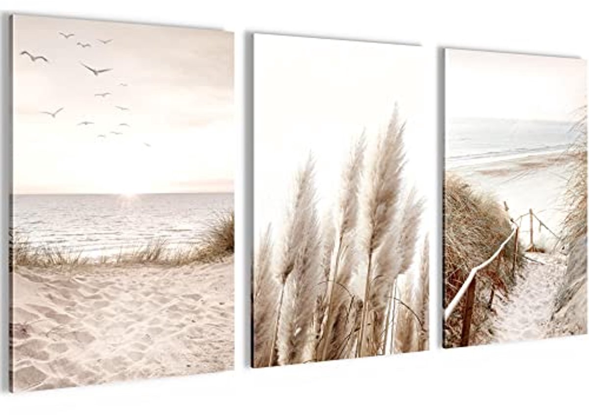Boho Pampasgras Schilderijen - Stijlvolle Decoratie - Set van 3 Delen - Klaar om Op te Hangen