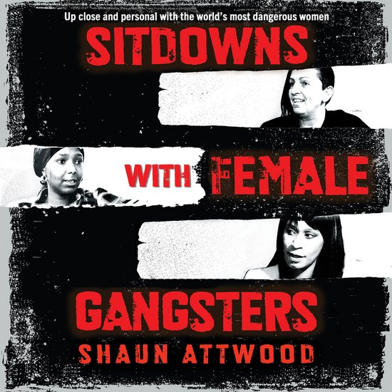 Sitdowns with Female Gangsters - cover