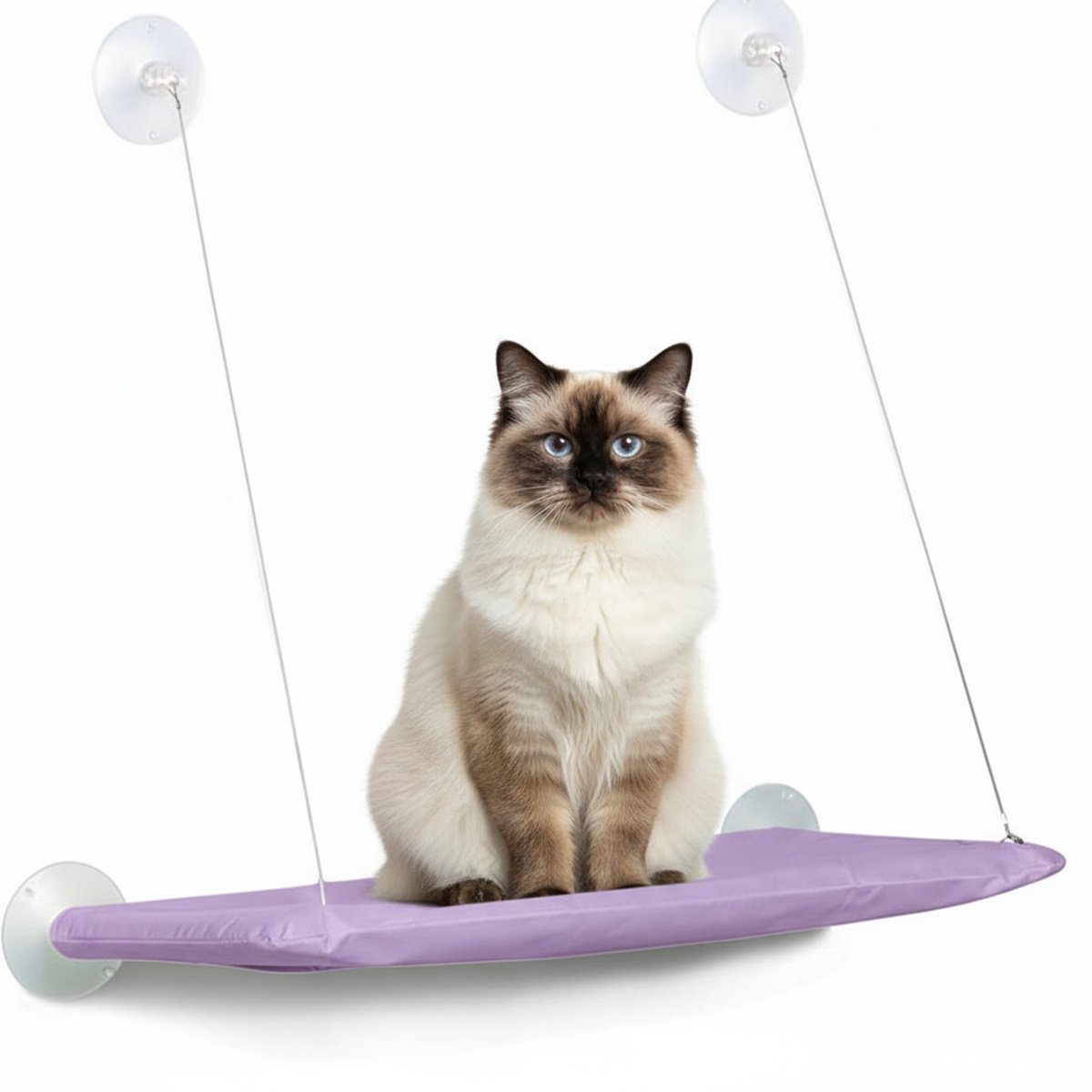 longziming -Kattenraam Hangmat – Sterke Zuignappen tot 17,5 kg, Ademend & Duurzaam Kattenbed met 360° Uitzicht – Comfortabel Zonnebed voor Katten