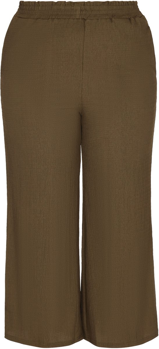 usha Plussize broek
