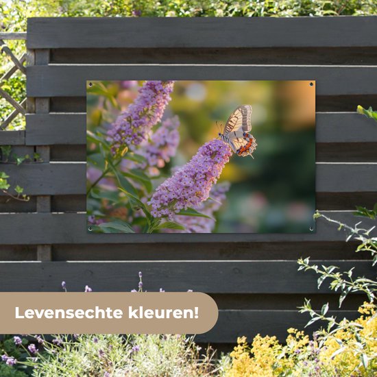 Affiche de jardin 120x80 cm - Décoration de jardin décorative - Papillon - Violet - Fleurs - Affiche pour le jardin - Décoration extérieure - Tableau de jardin clôture - Décoration murale en tissu de jardin - Décoration murale en tissu de balcon