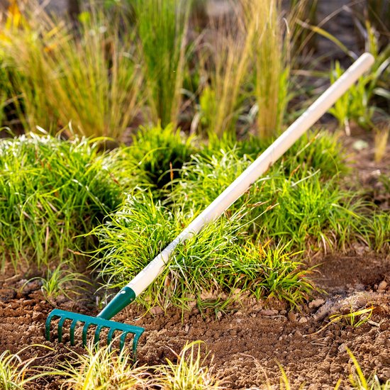 KADAX Metalen hark, platte hark met houten handvat, bladhark voor tuin, bed, bladhark, gazonhark, groen, tuingereedschap, tuingereedschap (8 tanden) van Merkloos	 — afbeelding 2