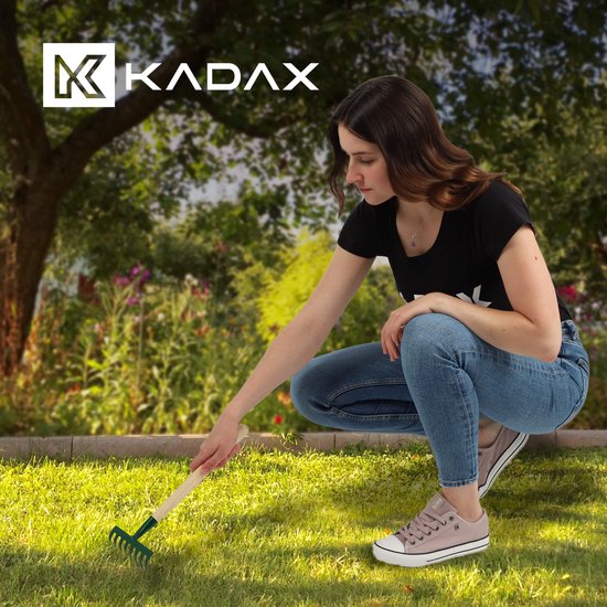 KADAX kleine metalen hark, hark gemaakt van hout, lommerrijke bezems, lekken, gazonhark voor tuin, tuin hicke, handhark, kleine ventilatorbroom (8 tanden, kort, hout, metaal) van Merkloos	 — afbeelding 5