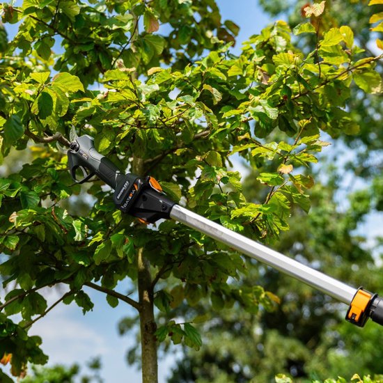 Batavia 18V Professionele Snoeiset - Nexxsaw V3, Nexxcut, Bladblazer, Telescopische Steel - Incl. 2x 4.0Ah Accu’s & Snellader van Batavia — afbeelding 3