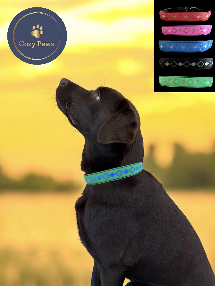 Cozypaws® LED Hondenhalsband met 15 LED kleuren - USB Oplaadbaar - Verstelbaar - Waterdicht - Lichtgevende Halsband voor Honden - Groen - Maat S